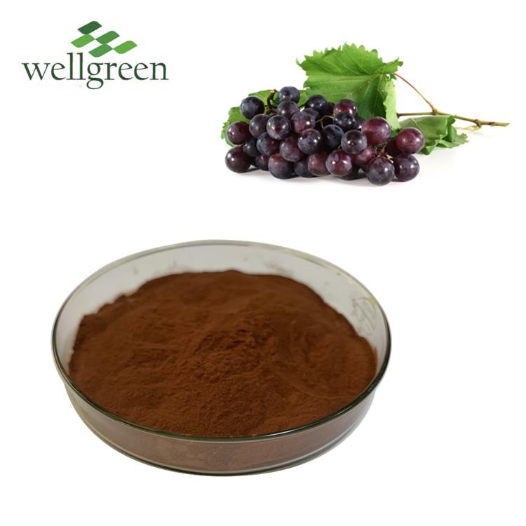 Wellgreen grape seed extract powder