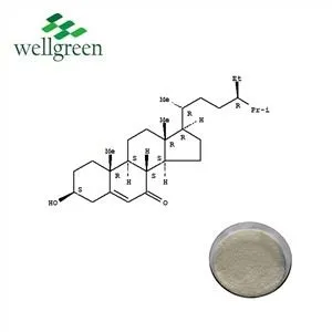 Beta Sitosterol Pulbere