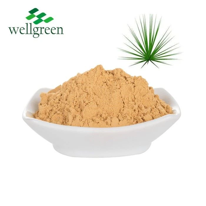 Yucca Extract Powder Bulk