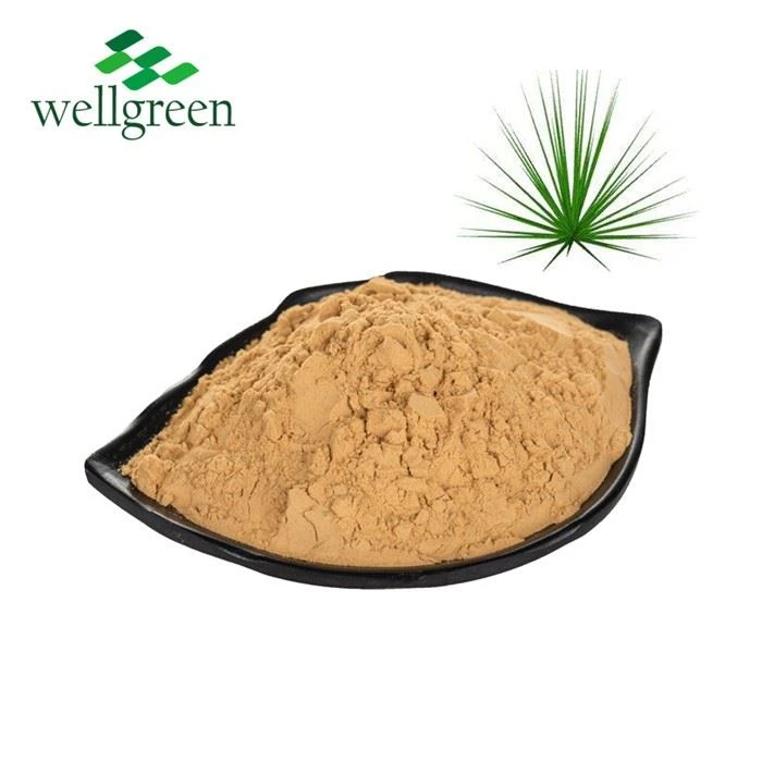 Yucca Extract Powder Bulk