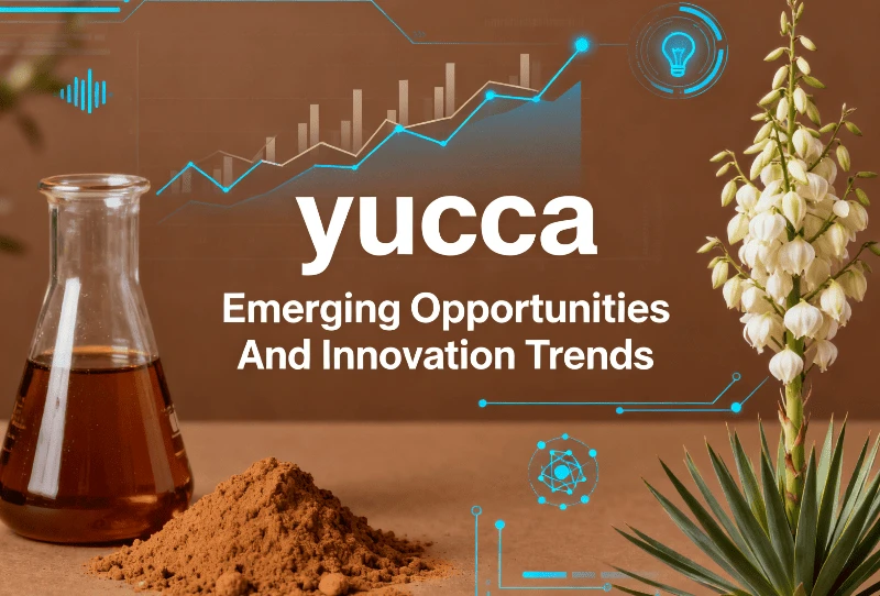Yucca Extract Emerging Opportunities And Innovation Trends Yucca Extract Emerging Opportunities And Innovation Trends